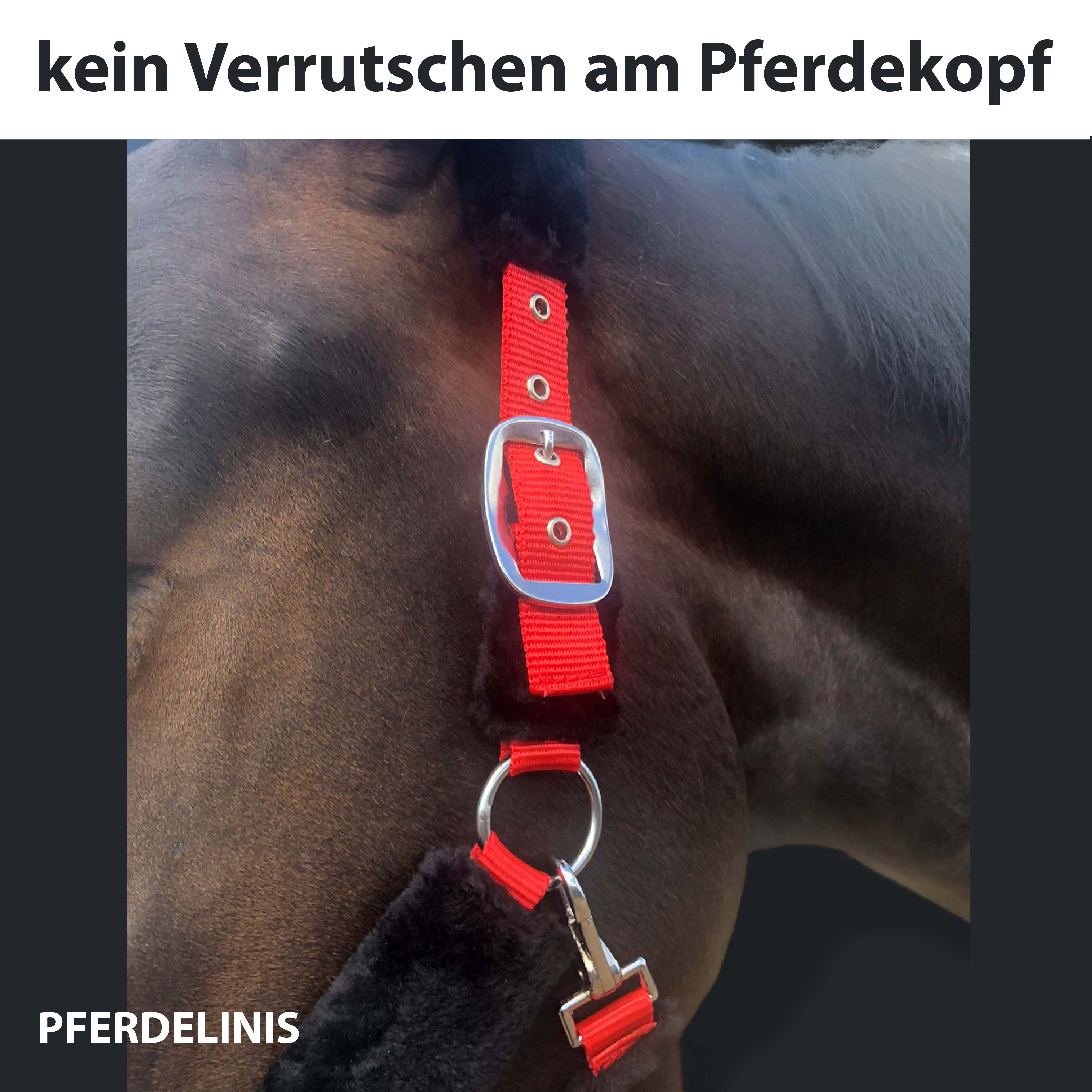 Halfter mit Fell, weich gepolstert